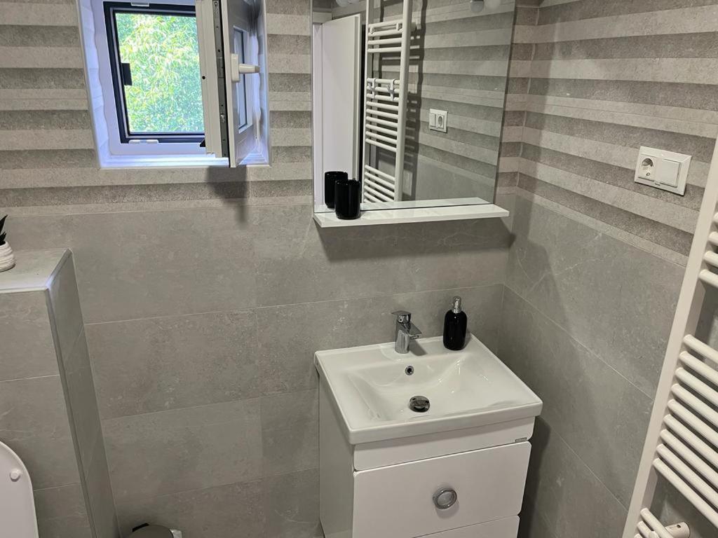 Sabina Apartaments Сфинту-Ґеорґе Екстер'єр фото
