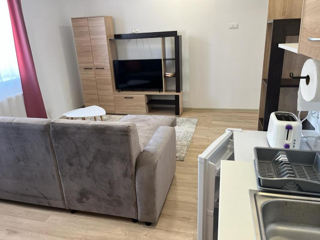 Sabina Apartaments Сфинту-Ґеорґе Екстер'єр фото