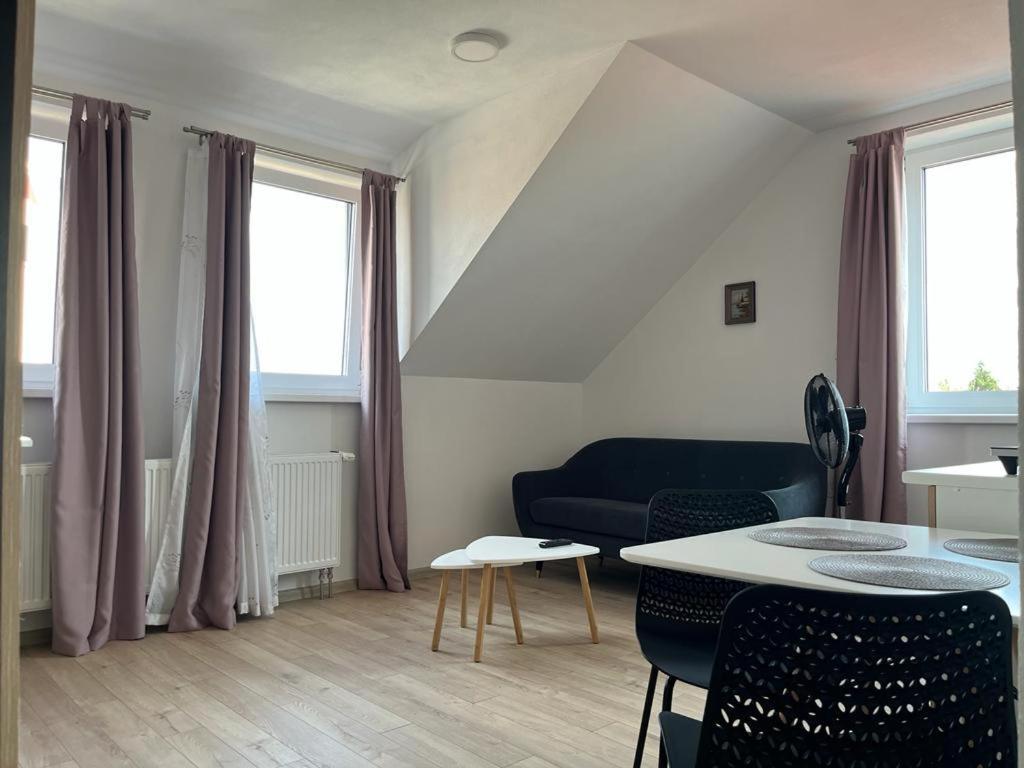 Sabina Apartaments Сфинту-Ґеорґе Екстер'єр фото