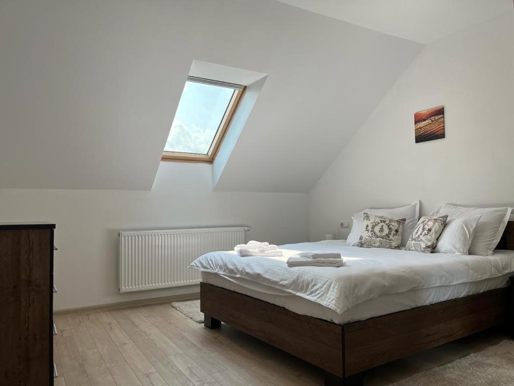 Sabina Apartaments Сфинту-Ґеорґе Екстер'єр фото