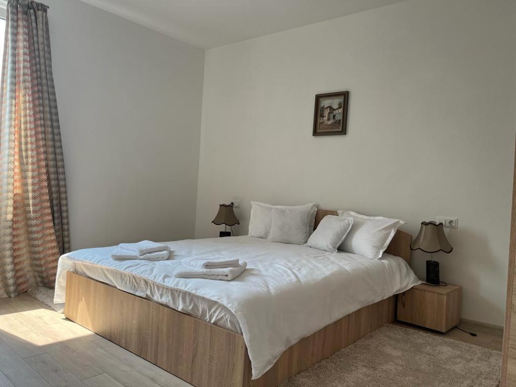 Sabina Apartaments Сфинту-Ґеорґе Екстер'єр фото