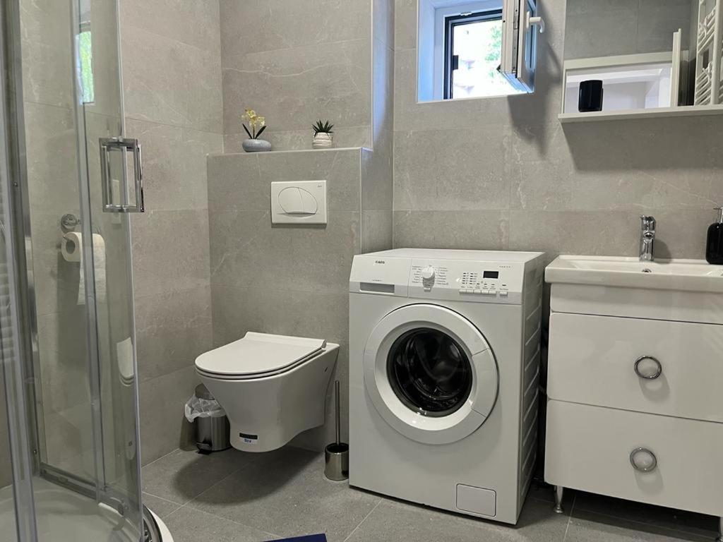 Sabina Apartaments Сфинту-Ґеорґе Екстер'єр фото