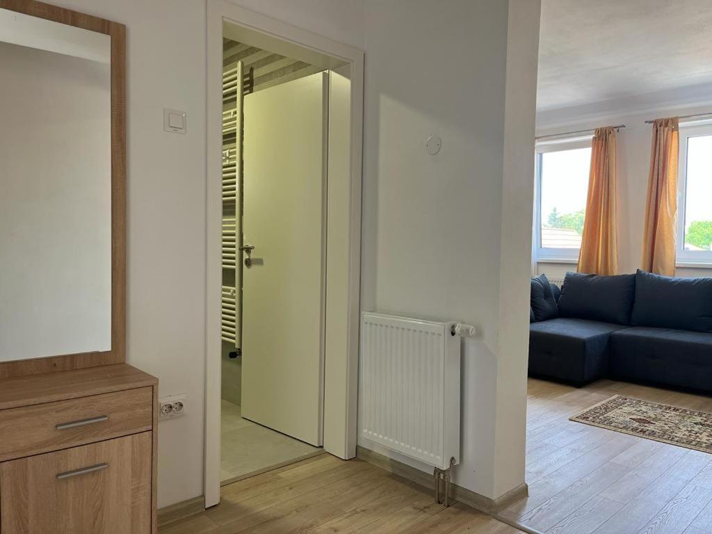 Sabina Apartaments Сфинту-Ґеорґе Екстер'єр фото