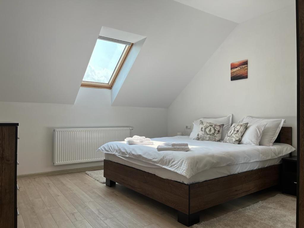 Sabina Apartaments Сфинту-Ґеорґе Екстер'єр фото