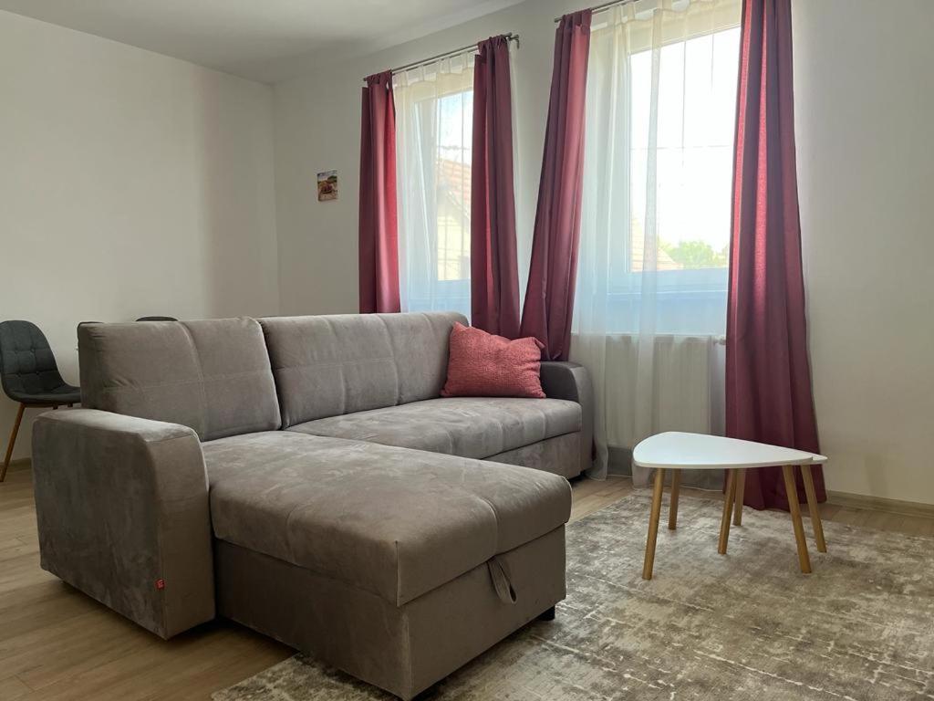Sabina Apartaments Сфинту-Ґеорґе Екстер'єр фото