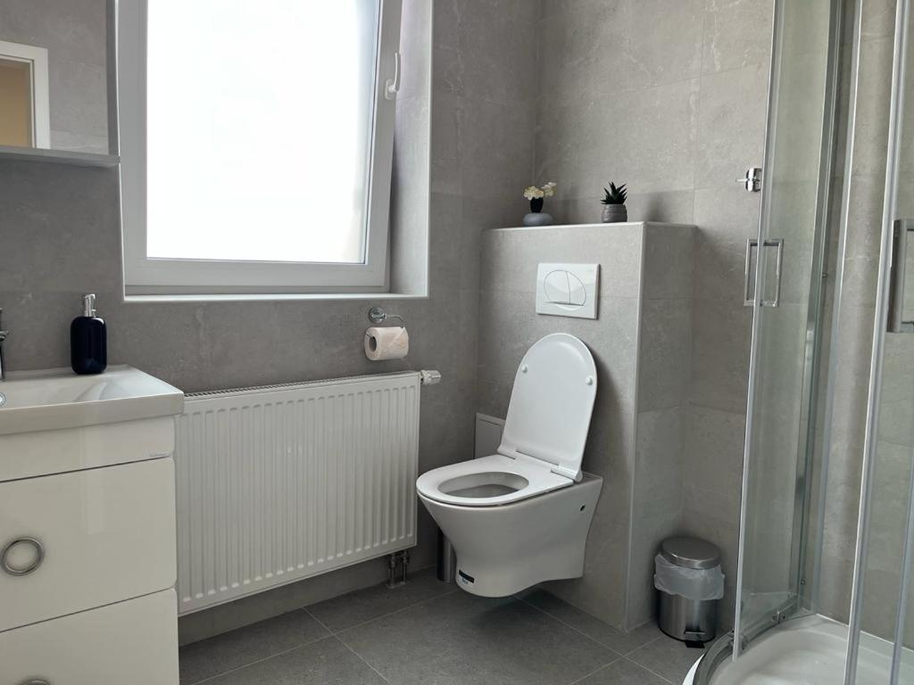 Sabina Apartaments Сфинту-Ґеорґе Екстер'єр фото