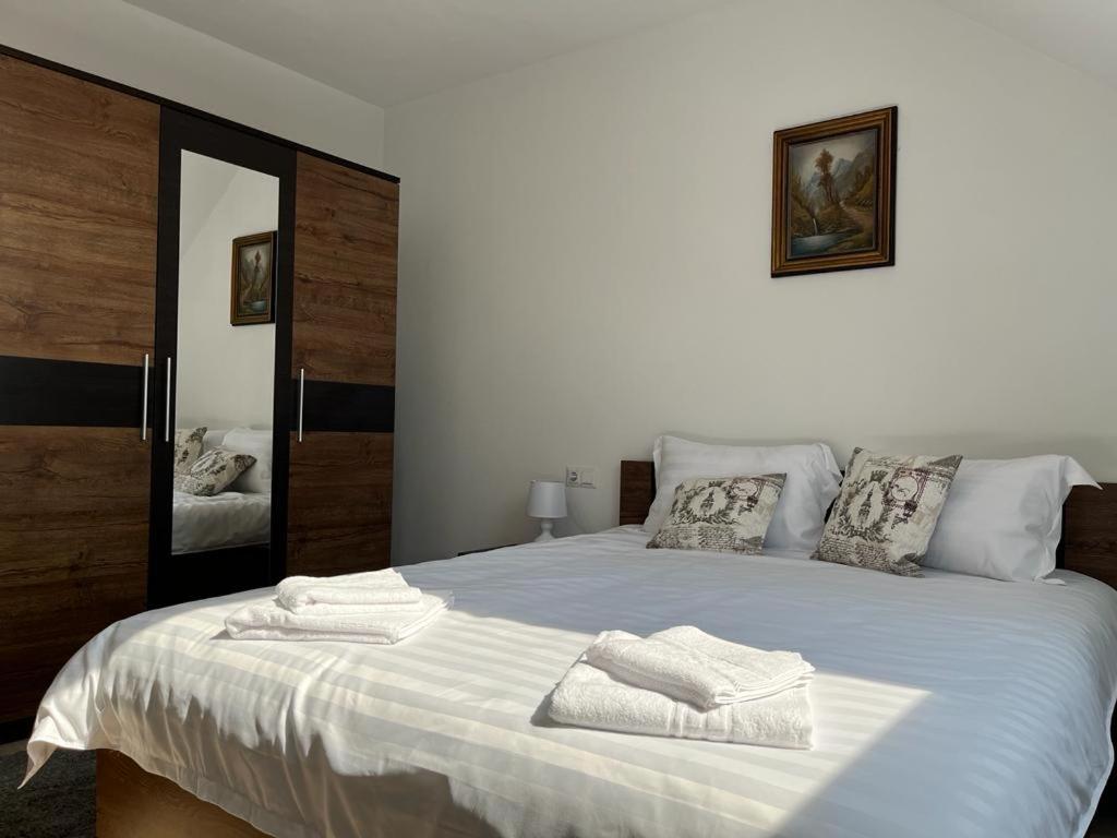 Sabina Apartaments Сфинту-Ґеорґе Екстер'єр фото